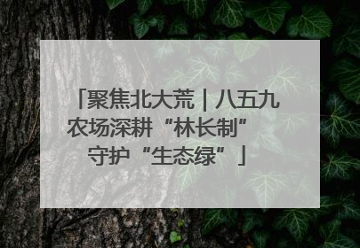 聚焦北大荒｜八五九农场深耕“林长制” 守护“生态绿”