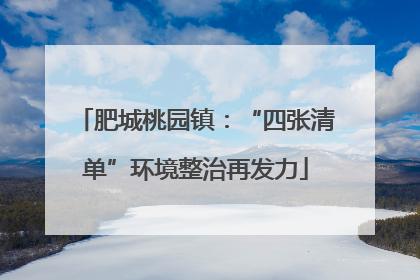 肥城桃园镇：“四张清单”环境整治再发力