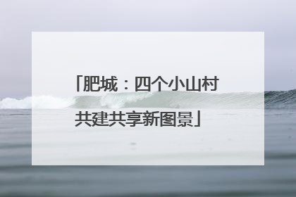 肥城：四个小山村共建共享新图景