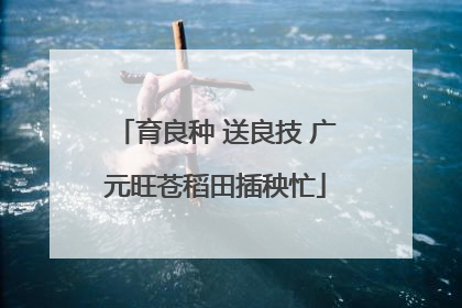 育良种 送良技 广元旺苍稻田插秧忙