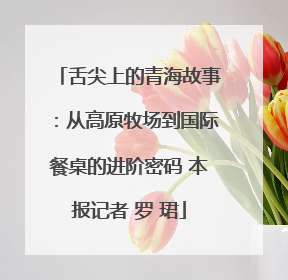 舌尖上的青海故事：从高原牧场到国际餐桌的进阶密码 本报记者 罗 珺