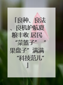 良种、良法、良机护航夏粮丰收 居民“菜篮子”“果盘子”满满“科技范儿”