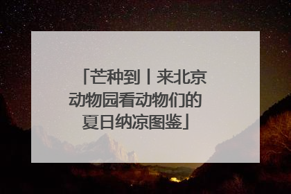 芒种到丨来北京动物园看动物们的夏日纳凉图鉴