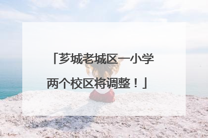 芗城老城区一小学两个校区将调整！