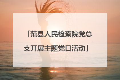 范县人民检察院党总支开展主题党日活动