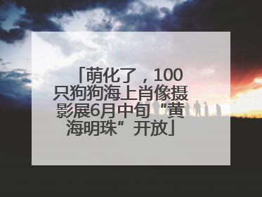 萌化了，100只狗狗海上肖像摄影展6月中旬“黄海明珠”开放