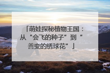 萌娃探秘植物王国：从“会飞的种子”到“善变的绣球花”