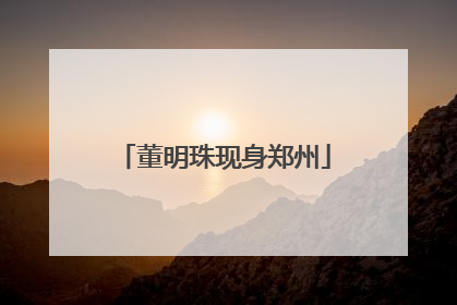 董明珠现身郑州