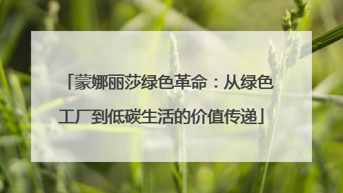 蒙娜丽莎绿色革命：从绿色工厂到低碳生活的价值传递