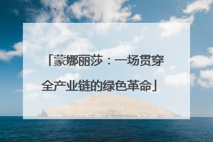 蒙娜丽莎：一场贯穿全产业链的绿色革命