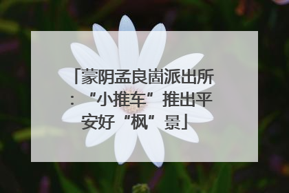 蒙阴孟良崮派出所：“小推车”推出平安好“枫”景