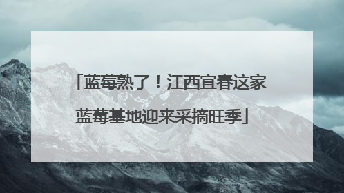 蓝莓熟了！江西宜春这家蓝莓基地迎来采摘旺季