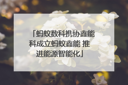 蚂蚁数科携协鑫能科成立蚂蚁鑫能 推进能源智能化