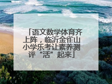语文数学体育齐上阵，临沂金雀山小学乐考让素养测评“活”起来