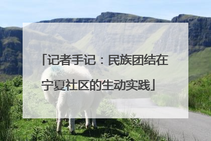 记者手记：民族团结在宁夏社区的生动实践