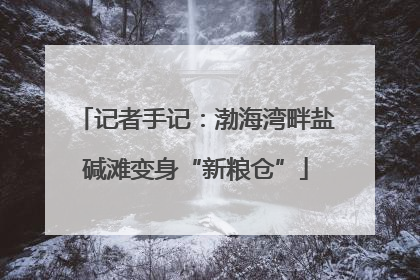 记者手记：渤海湾畔盐碱滩变身“新粮仓”