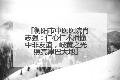 衡阳市中医医院肖志强：仁心仁术播撒中非友谊，岐黄之光照亮津巴大地