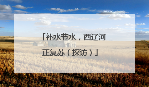 补水节水，西辽河正复苏（探访）