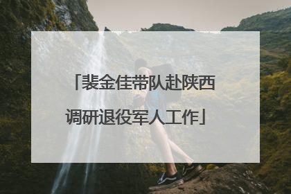 裴金佳带队赴陕西调研退役军人工作