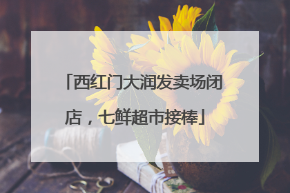 西红门大润发卖场闭店，七鲜超市接棒