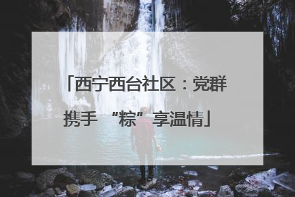 西宁西台社区：党群携手 “粽”享温情