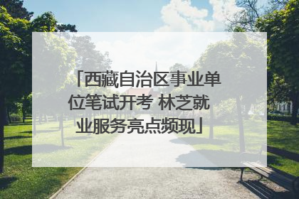 西藏自治区事业单位笔试开考 林芝就业服务亮点频现