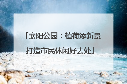 襄阳公园：植荷添新景 打造市民休闲好去处