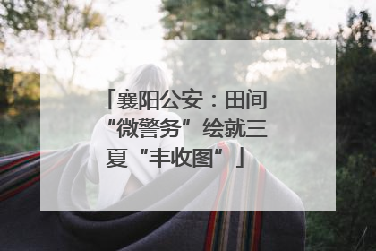 襄阳公安：田间“微警务”绘就三夏“丰收图”