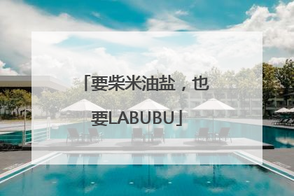 要柴米油盐，也要LABUBU