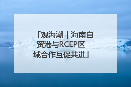 观海潮｜海南自贸港与RCEP区域合作互促共进