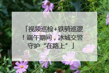 视频巡检+铁骑巡逻！端午期间，冰城交警守护“在路上”