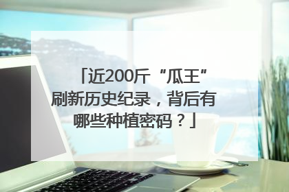 近200斤“瓜王”刷新历史纪录，背后有哪些种植密码？