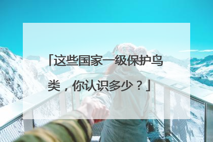 这些国家一级保护鸟类，你认识多少？