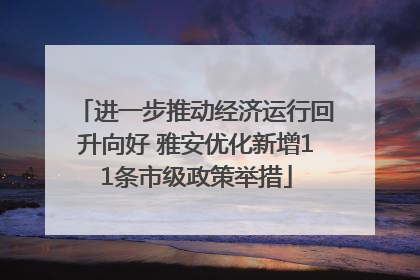 进一步推动经济运行回升向好 雅安优化新增11条市级政策举措
