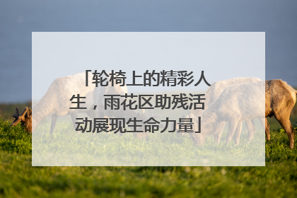 轮椅上的精彩人生，雨花区助残活动展现生命力量