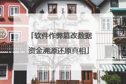 软件作弊篡改数据 资金溯源还原真相