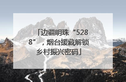边疆明珠“5288”，烟台援藏解锁乡村振兴密码