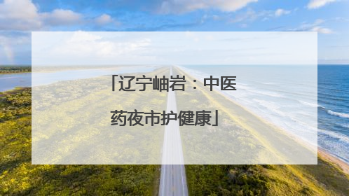 辽宁岫岩：中医药夜市护健康