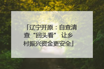辽宁开原：自查清查“回头看” 让乡村振兴资金更安全