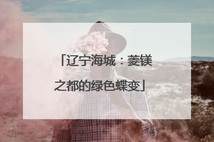 辽宁海城：菱镁之都的绿色蝶变