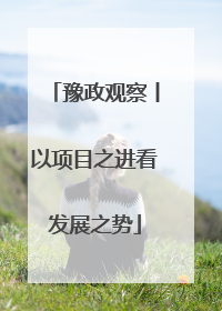 豫政观察丨以项目之进看发展之势