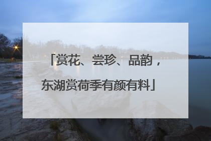 赏花、尝珍、品韵，东湖赏荷季有颜有料