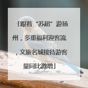 跟着“苏超”游扬州，多重福利迎客流，文旅名城接待游客量同比激增