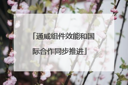 通威组件效能和国际合作同步推进