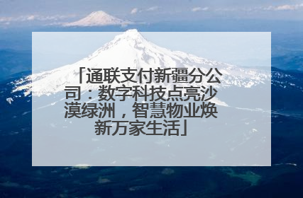 通联支付新疆分公司：数字科技点亮沙漠绿洲，智慧物业焕新万家生活