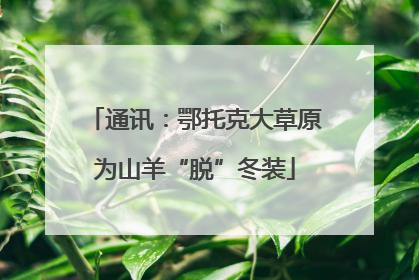 通讯：鄂托克大草原为山羊“脱”冬装