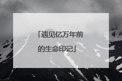 遇见亿万年前的生命印记