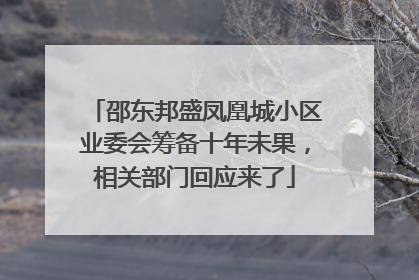 邵东邦盛凤凰城小区业委会筹备十年未果，相关部门回应来了