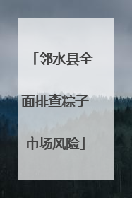 邻水县全面排查粽子市场风险