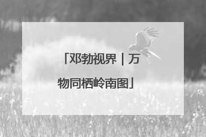 邓勃视界｜万物同栖岭南图